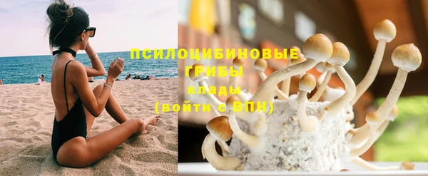 крисы Балахна